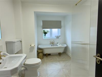 Picture 29
